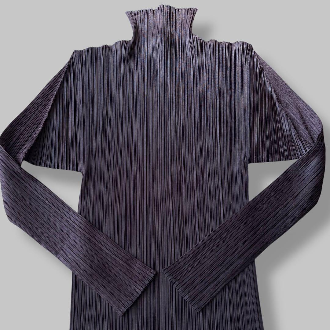 【RR様】プリーツプリーズ ロングワンピース マキシ丈 ハイネック ボルドー L