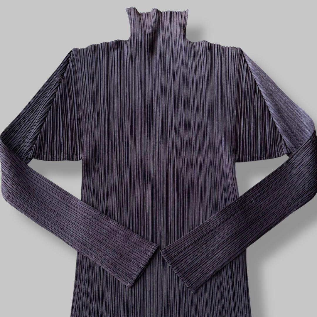 【RR様】プリーツプリーズ ロングワンピース マキシ丈 ハイネック ボルドー L