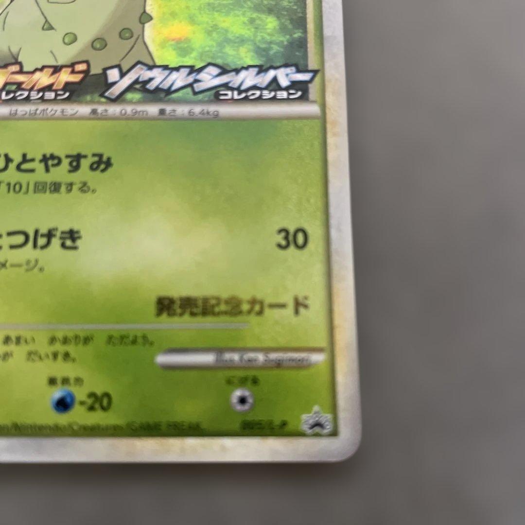 ポケモンカードゲーム　チコリータ　ランダムプレゼントキャンペーン プロモカード