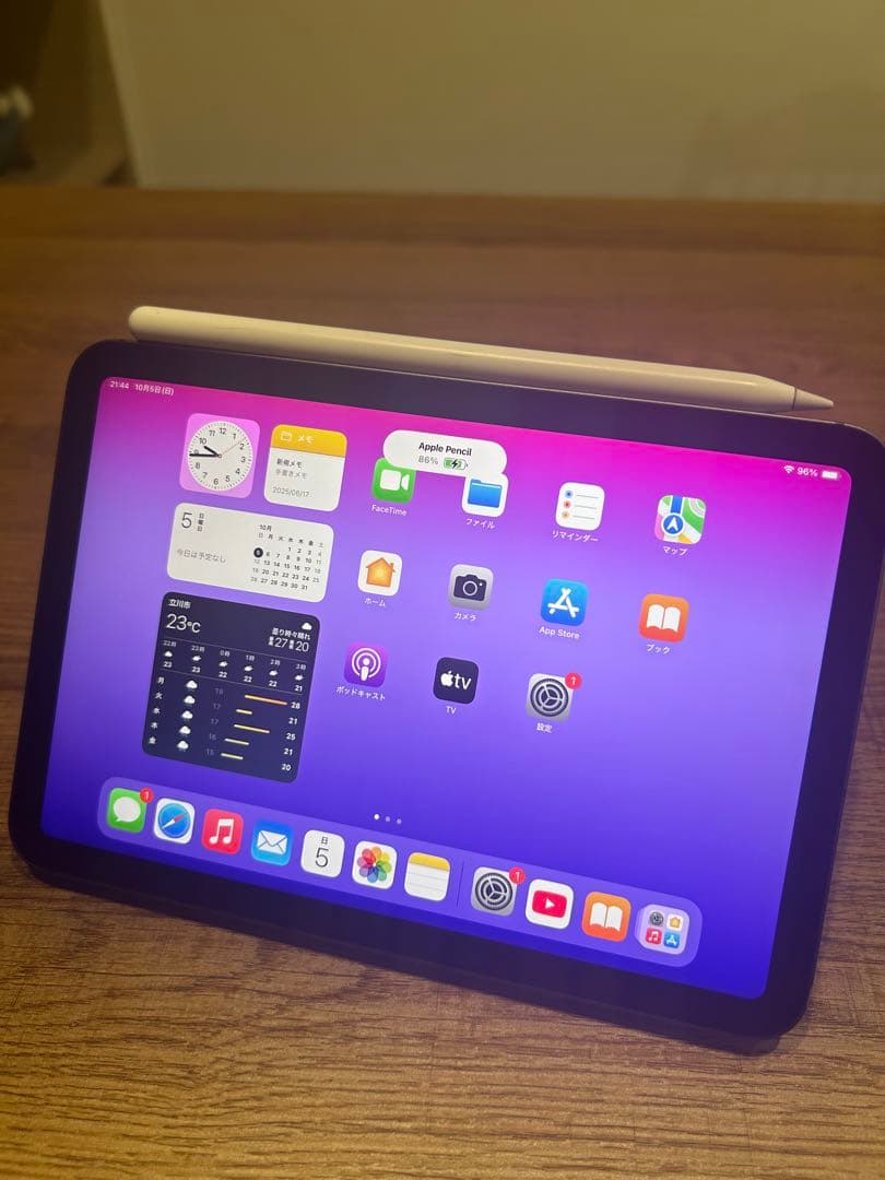 iPad mini 第6世代　256GB セルラーモデル）＋付属品セット