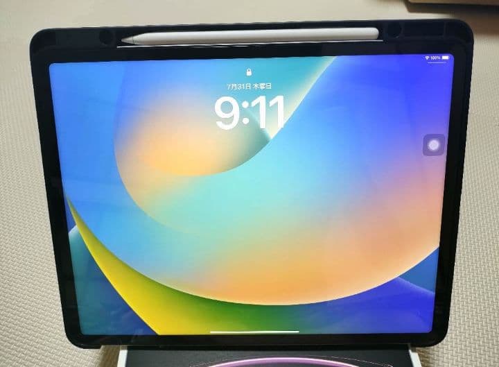 iPad Pro 12.9インチ 第6世代 1TB Apple Pencil付
