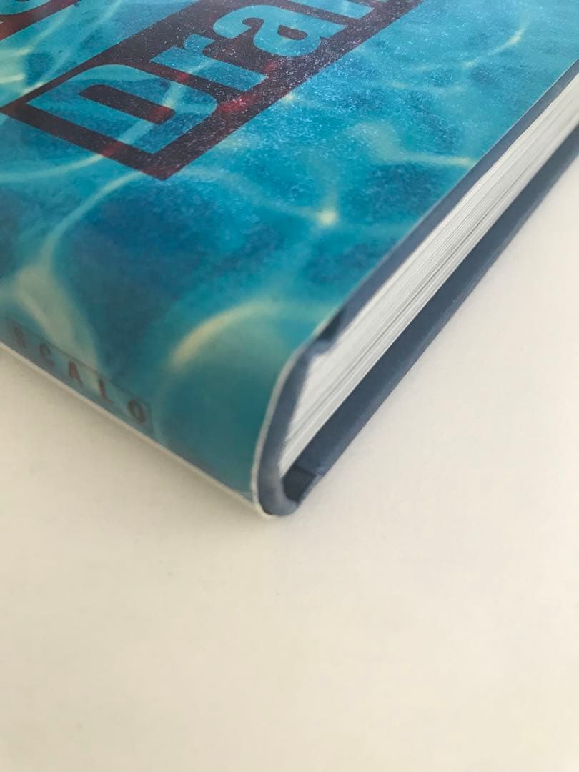 洋書 Richard Prince Adult Comedy Action Drama