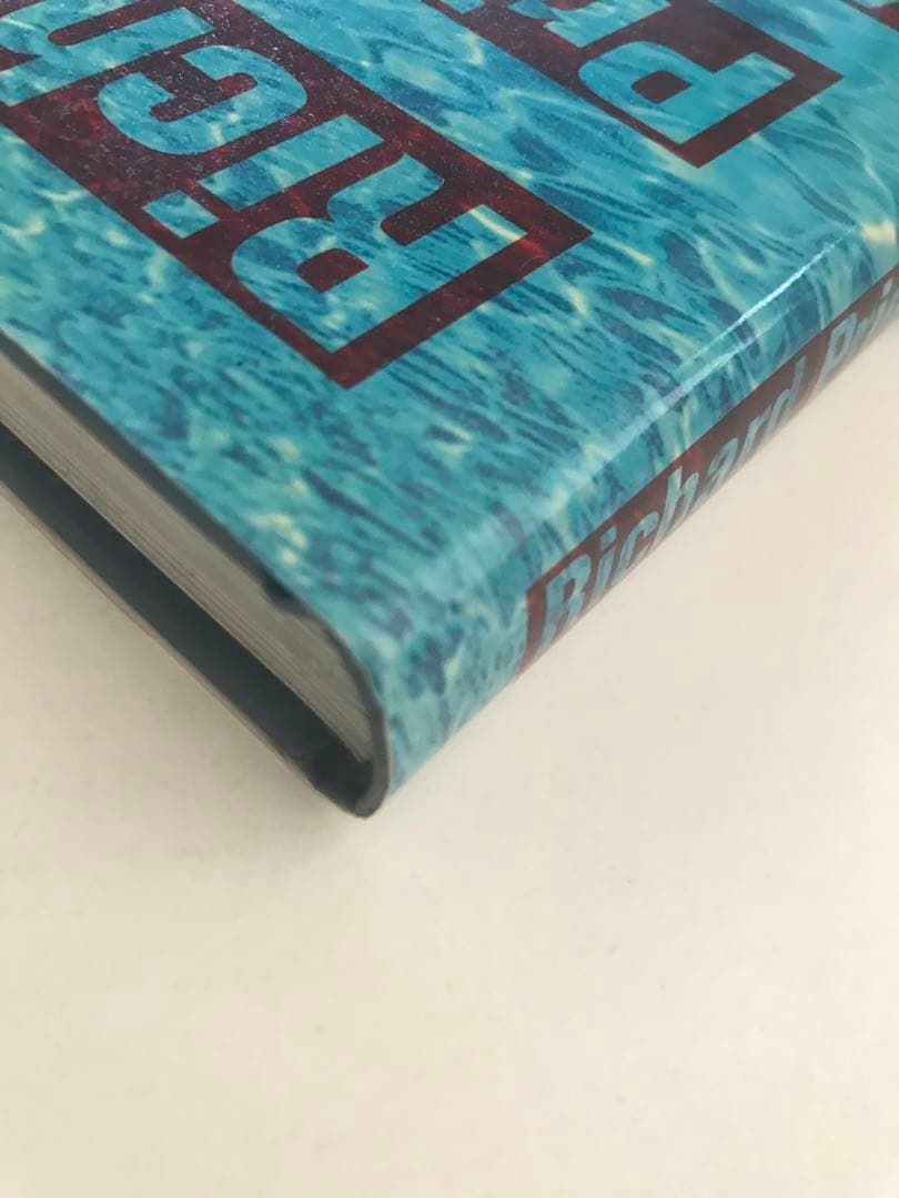 洋書 Richard Prince Adult Comedy Action Drama