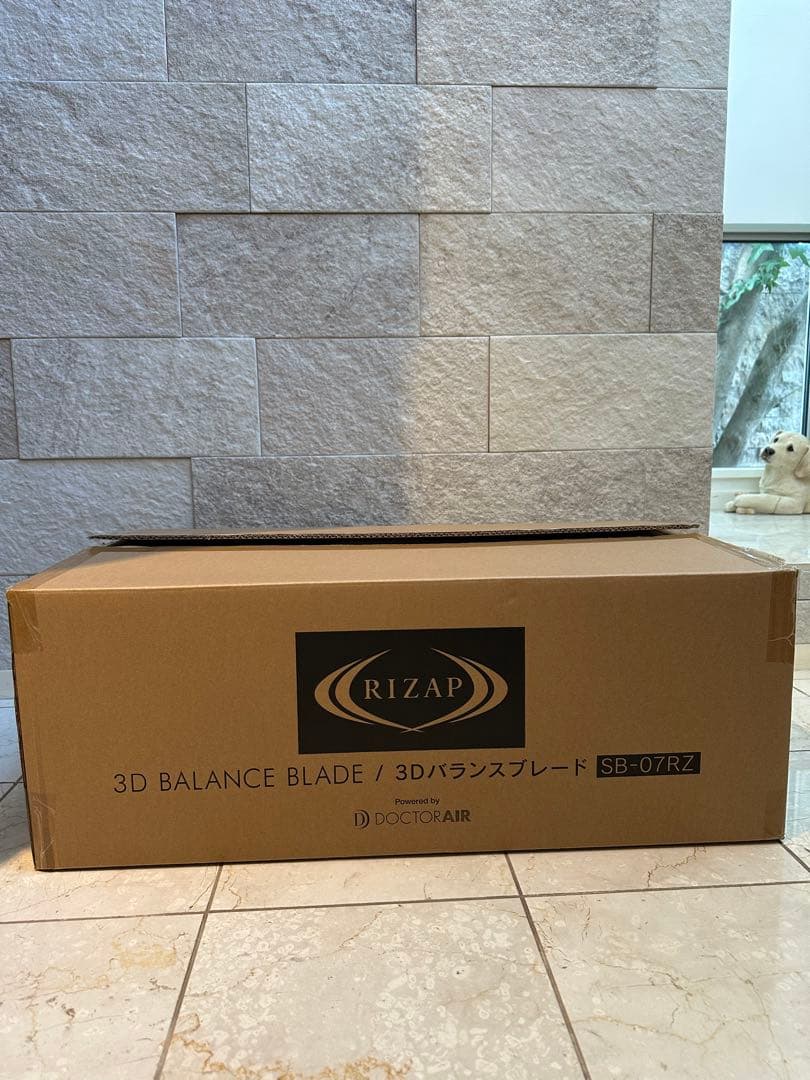 【未使用】ドクターエア3Dバランスブレード(SB-07RZ） 乗るだけライザップ