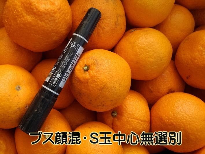 【あんこ】No.2-堀切送り　お約束商品4Kg×3箱　　【3箱縛り発送】