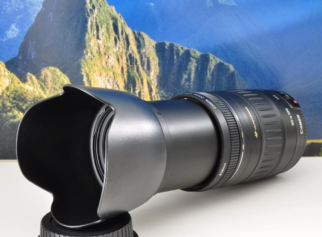 Canon EF 90-300mm USM 望遠ズーム 整備済 フード付キヤノン