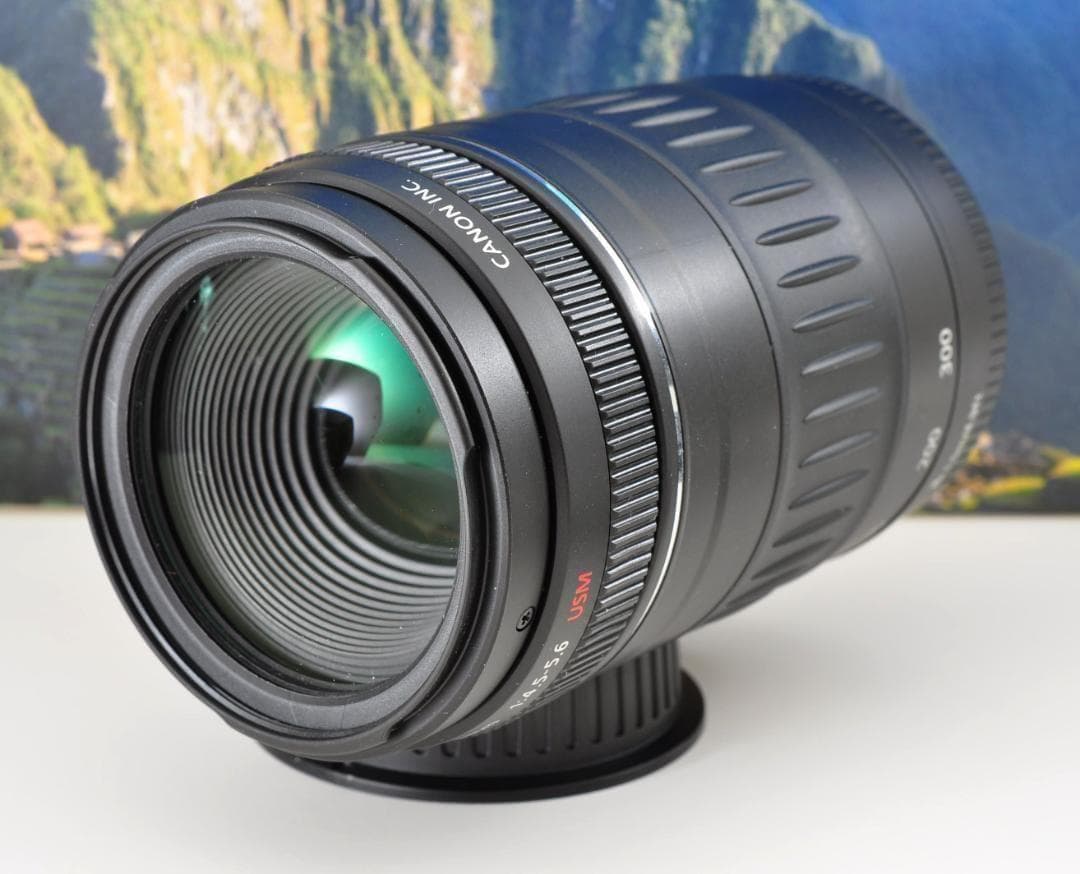 Canon EF 90-300mm USM 望遠ズーム 整備済 フード付キヤノン