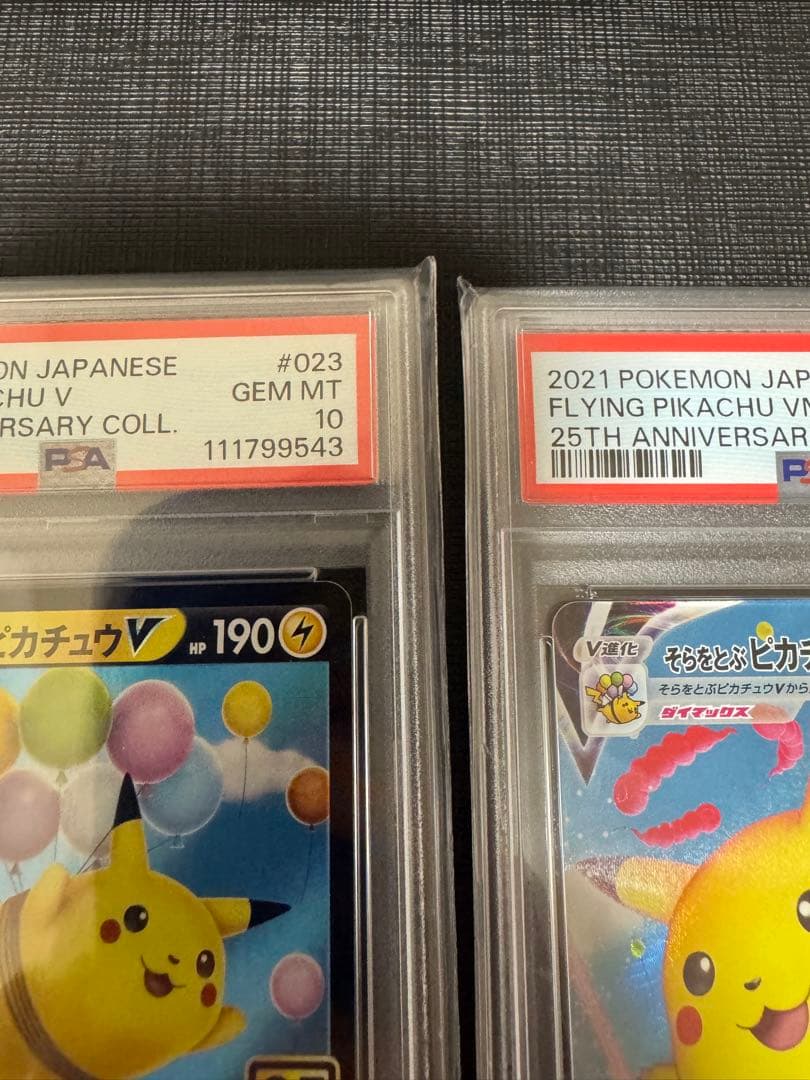 【2連番PSA10】そらをとぶピカチュウV VMAX RR RRR 25th