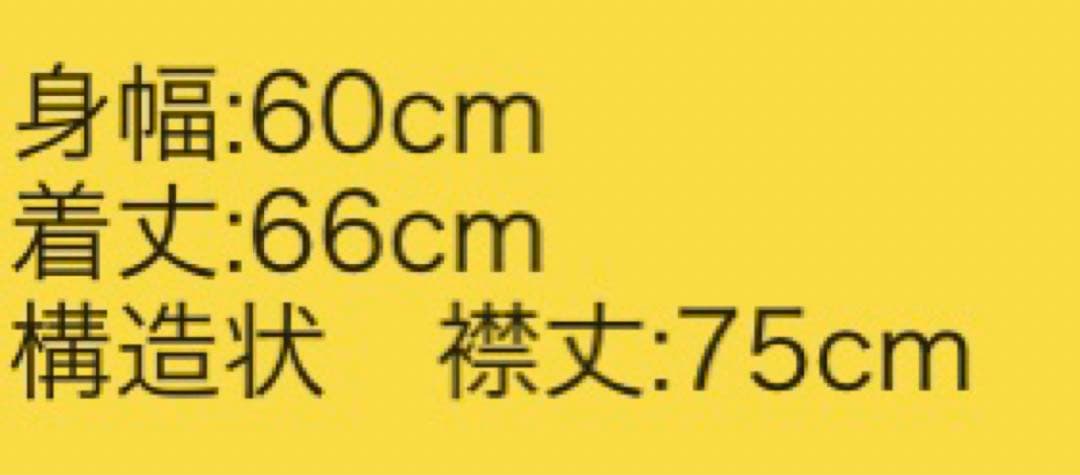 40’s 米軍　デッキレインパーカー メタルボタン　XL 相当　希少　sale