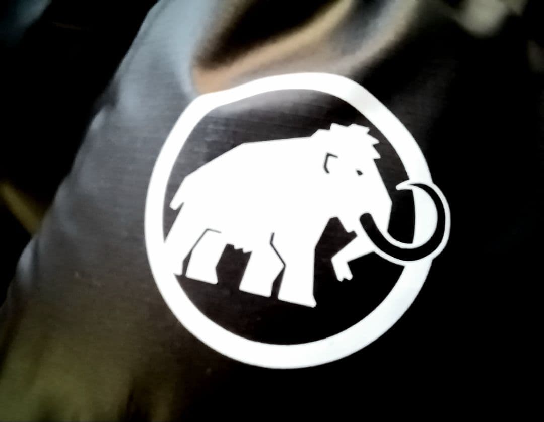 MAMMUT Gravity IN Hooded Jacket　マムート ダウン