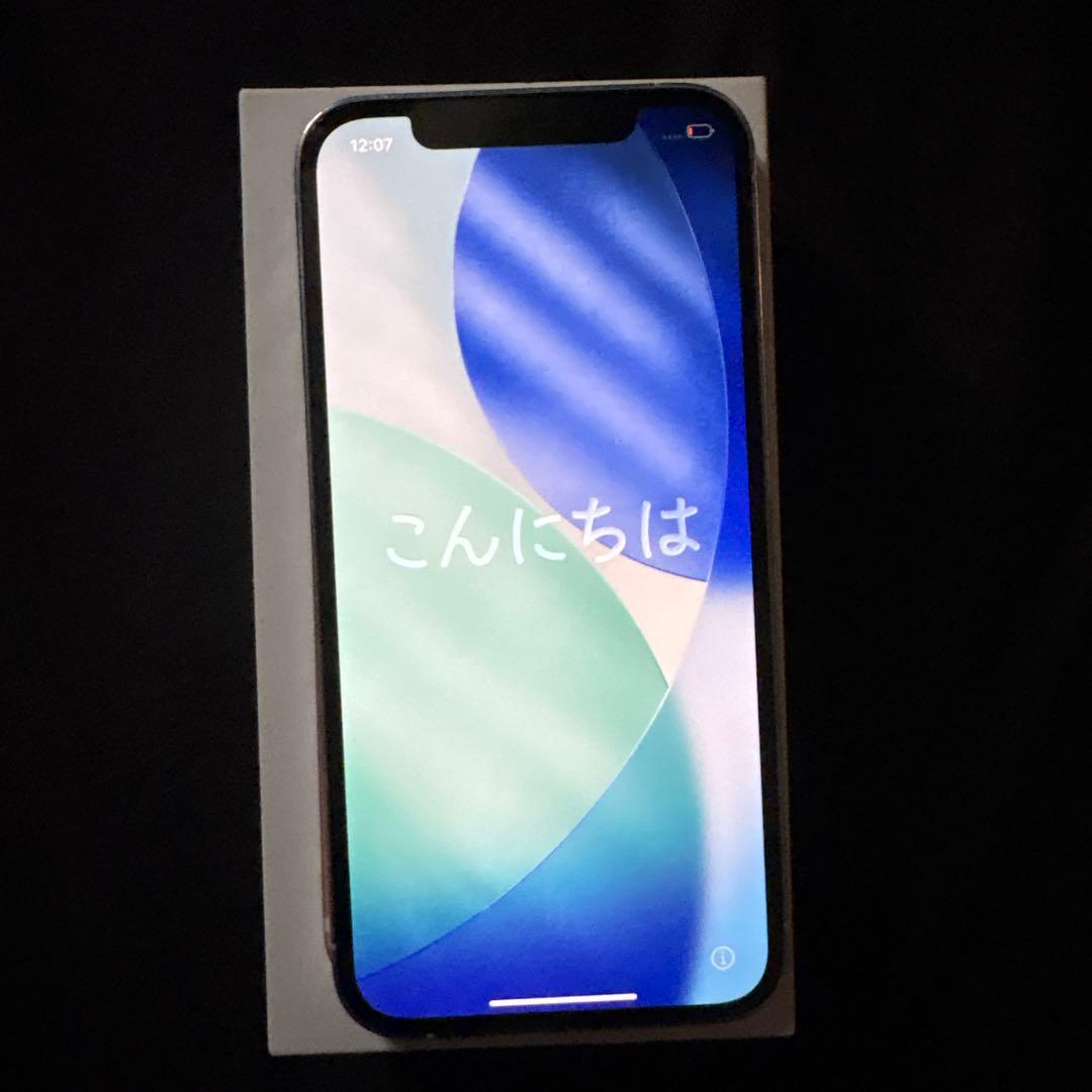 Apple iPhone 12 Pro シルバー SIMフリー