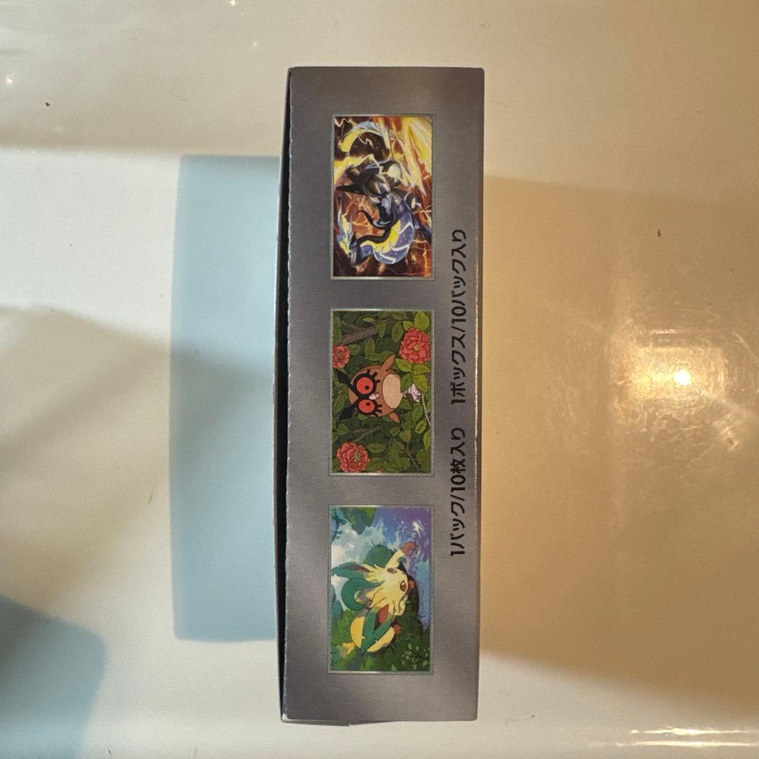 テラスタルフェスex 未開封BOX ペリペリ付き