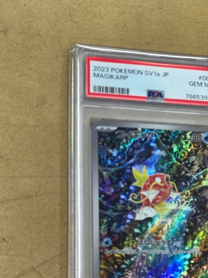 コイキング AR PSA10