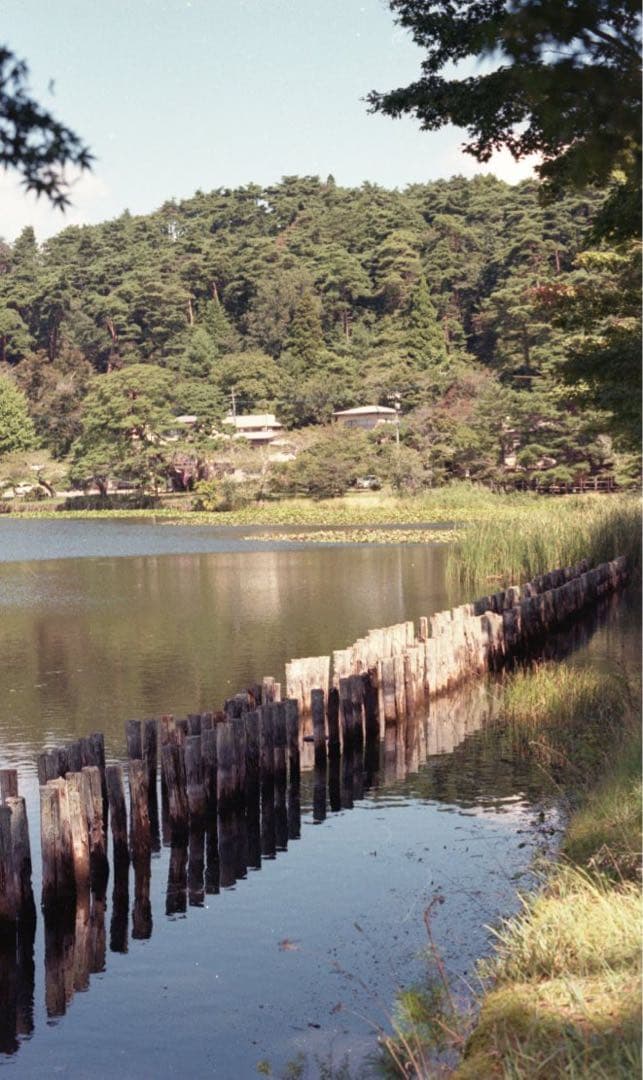 Nikon F3/T フィルムカメラ Nikkor 50mm f/1.4