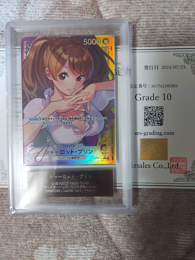 シャーロット・プリン L　 リーダーパラレル　ARS10