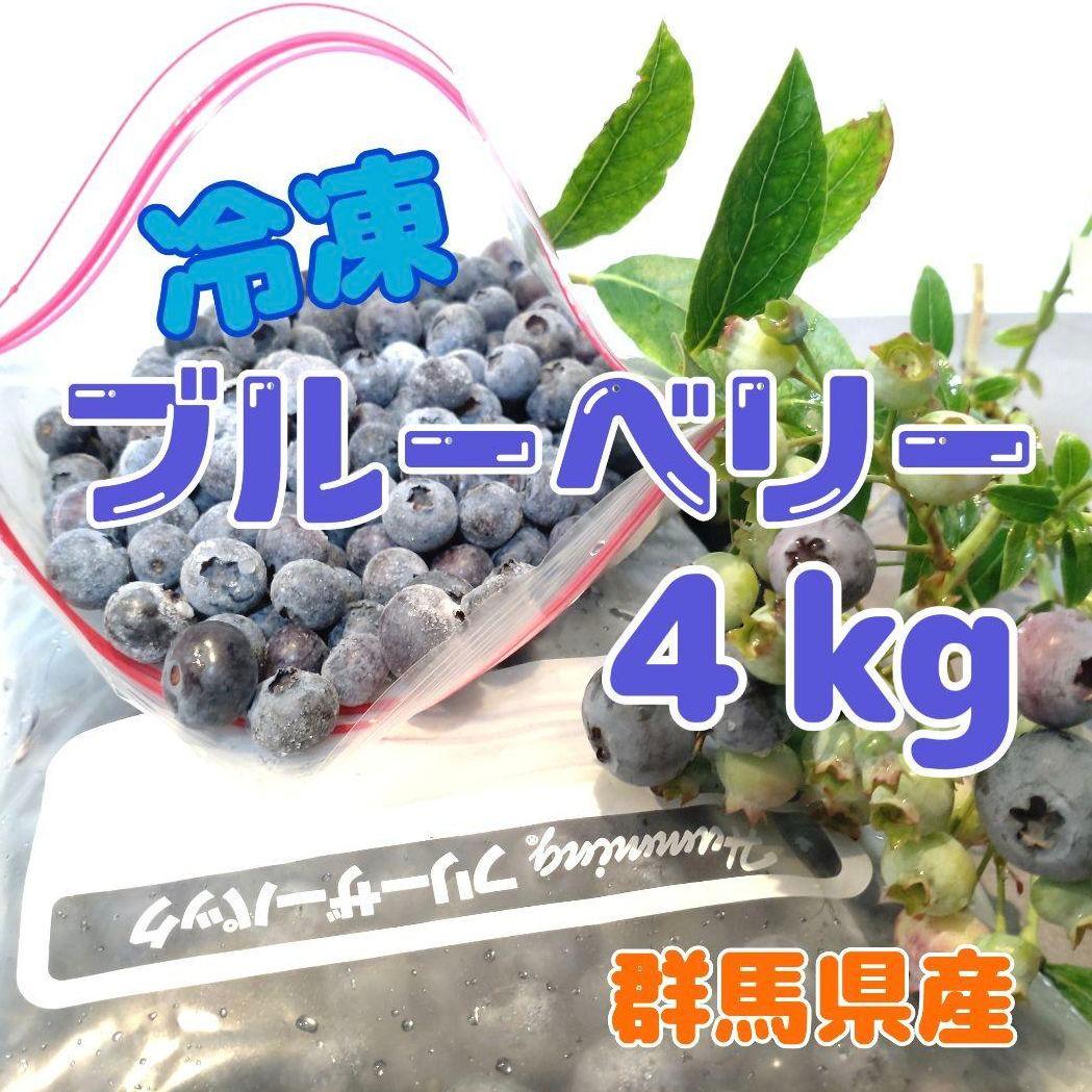 冷凍ブルーベリー 4kg 群馬県産