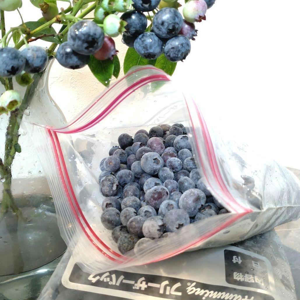 冷凍ブルーベリー 4kg 群馬県産