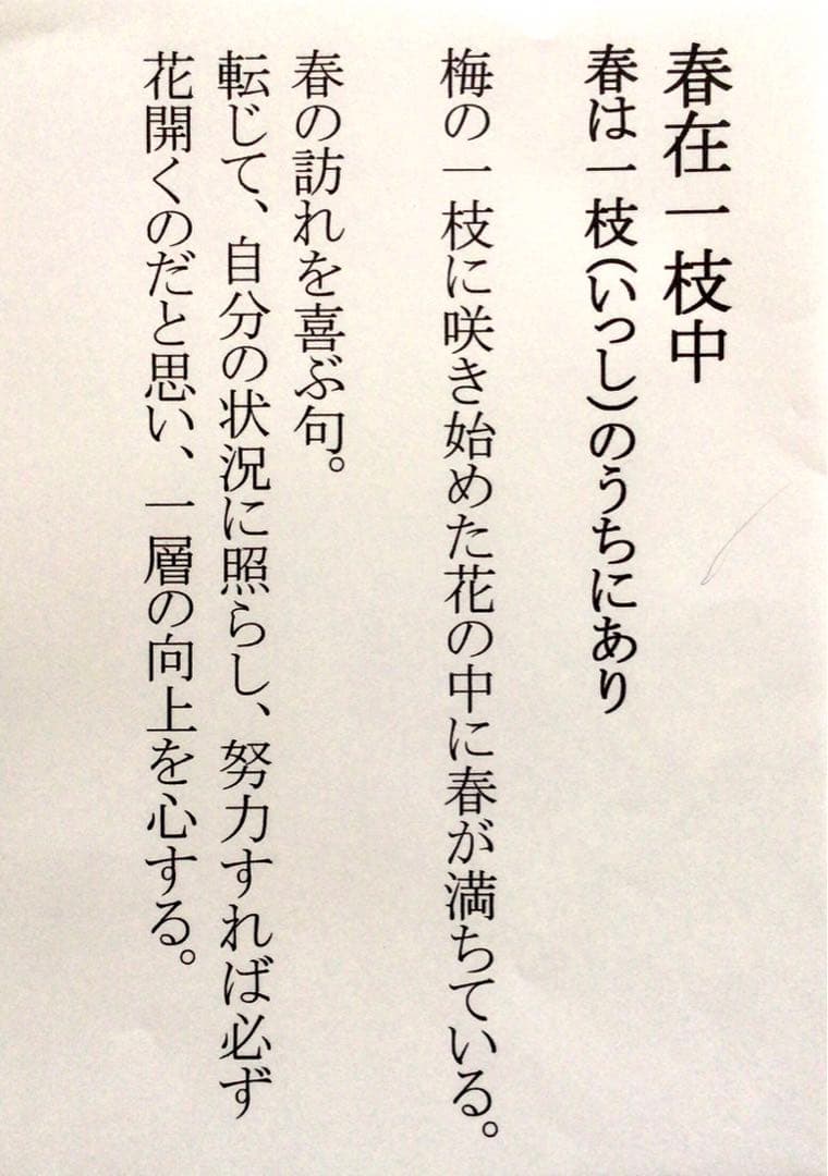 裏千家淡々斎直筆　一行書　春在一枝中　共箱　14代千宗室茶掛け掛軸