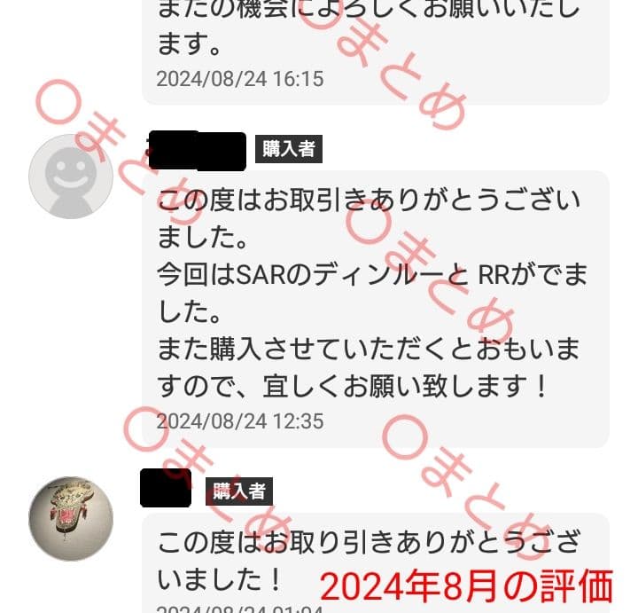 RR↑拡張パック おまけハイクラスパック 合計21パック まとめ売り