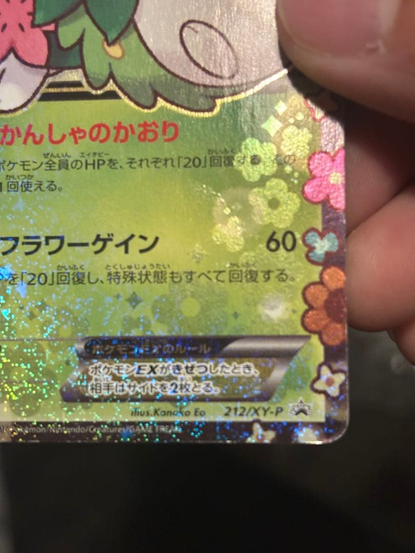 シェイミEX　ポケキュン　PROMO プロモ 212/XY-P　Pokémon