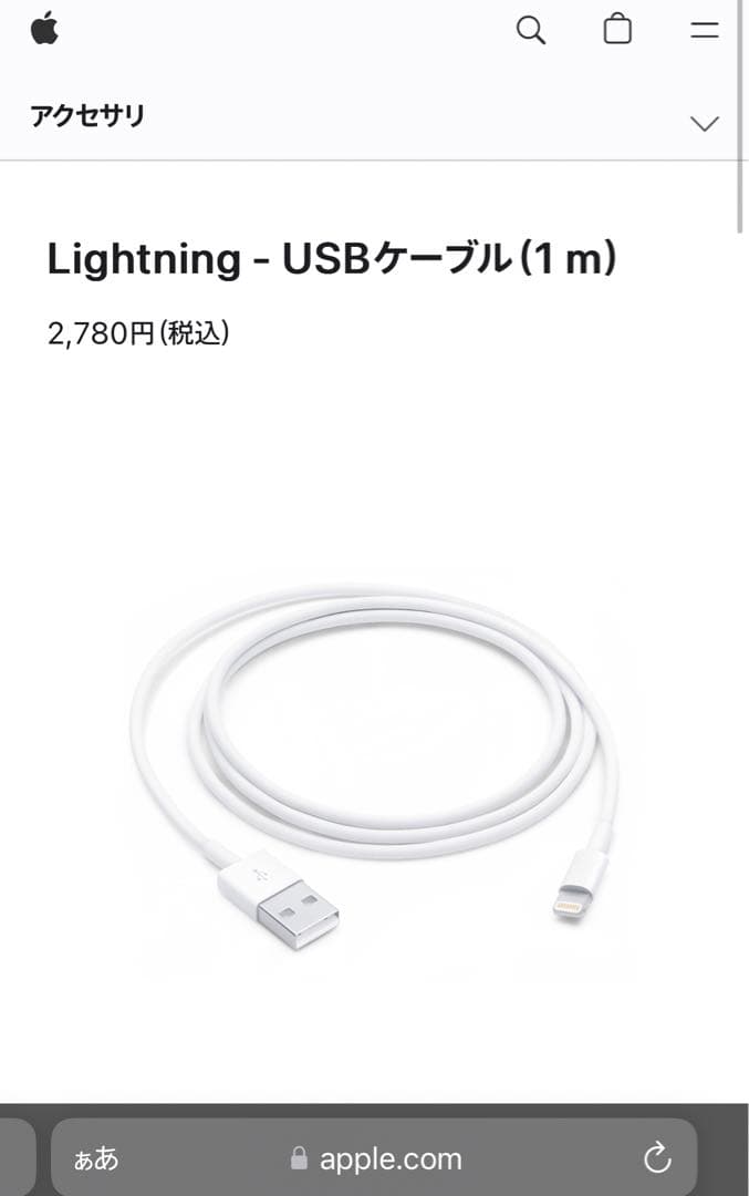 Apple製AirPods Pro 第1世代 動作確認済｜傷ありB