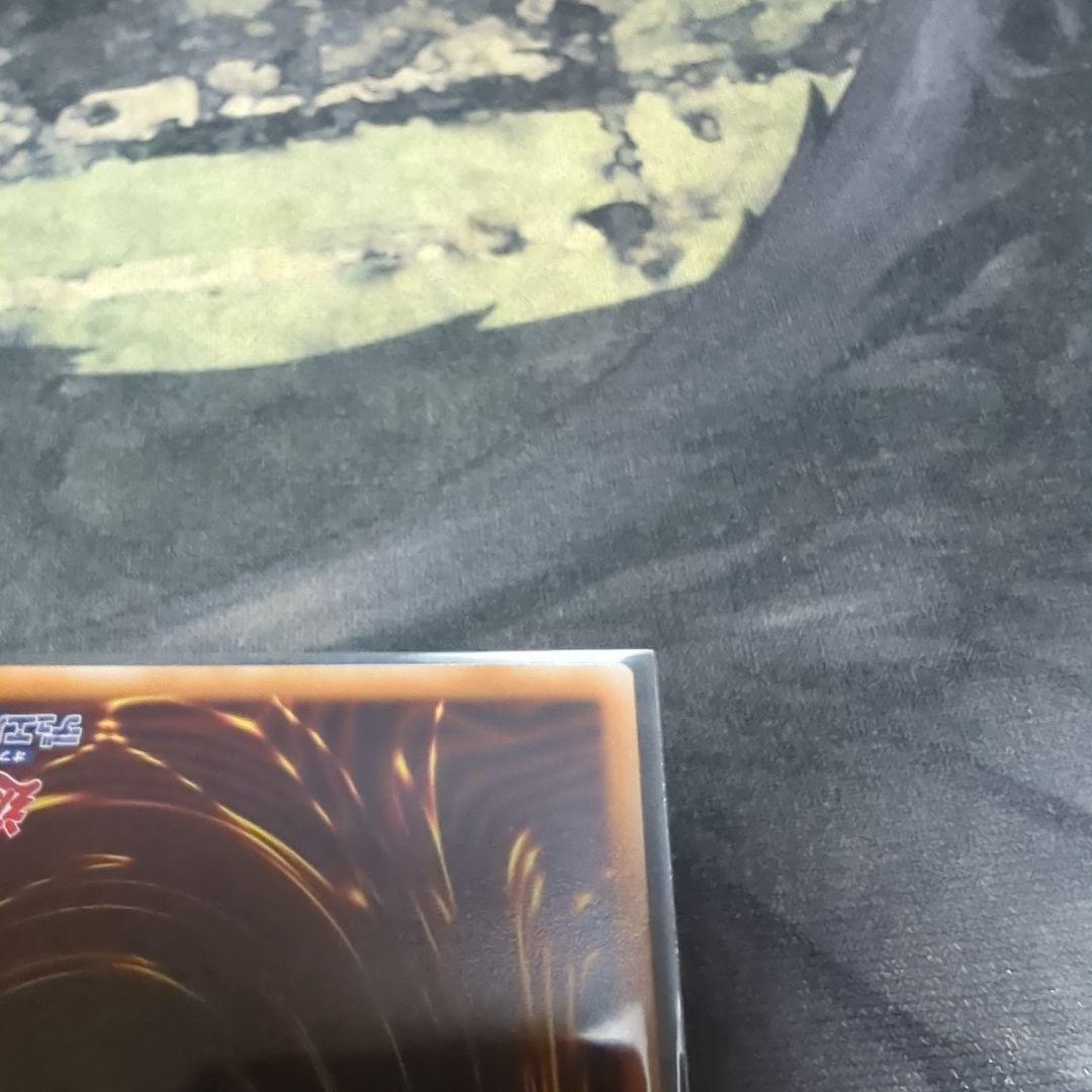 霆王の閃光　プリシク