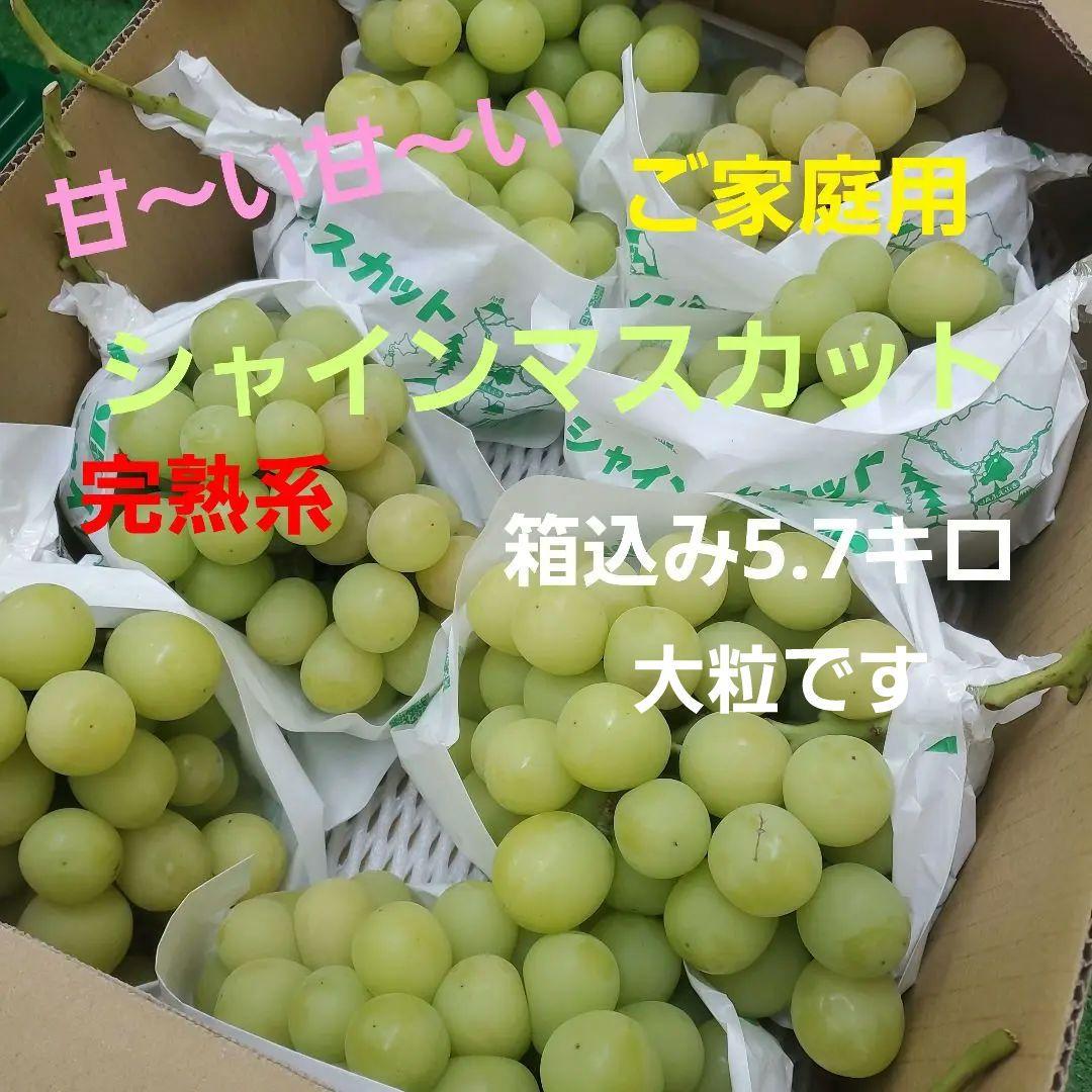 3️⃣ 山梨県産 シャインマスカット８房入り 箱込み5.7キロ
