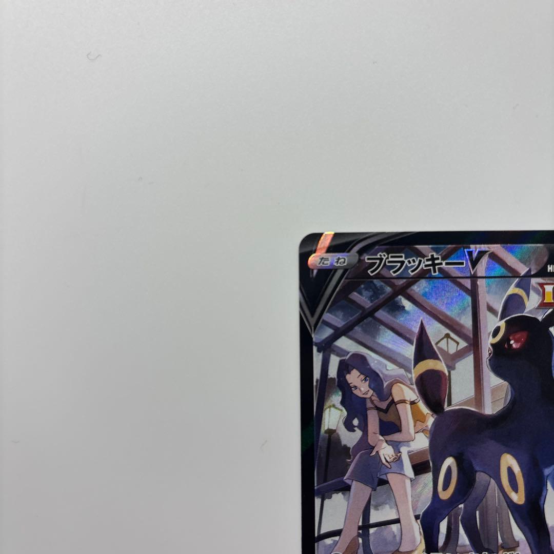 ポケモンカード CSRまとめ売り ブラッキーV CSR ガブリアスV CSR