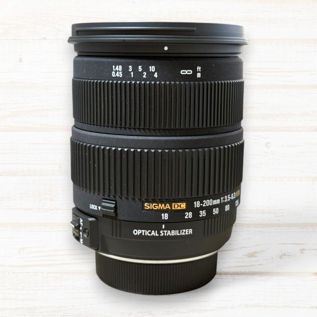 SIGMA ズームレンズ 18-200mm OS HSM Nikon用 #167