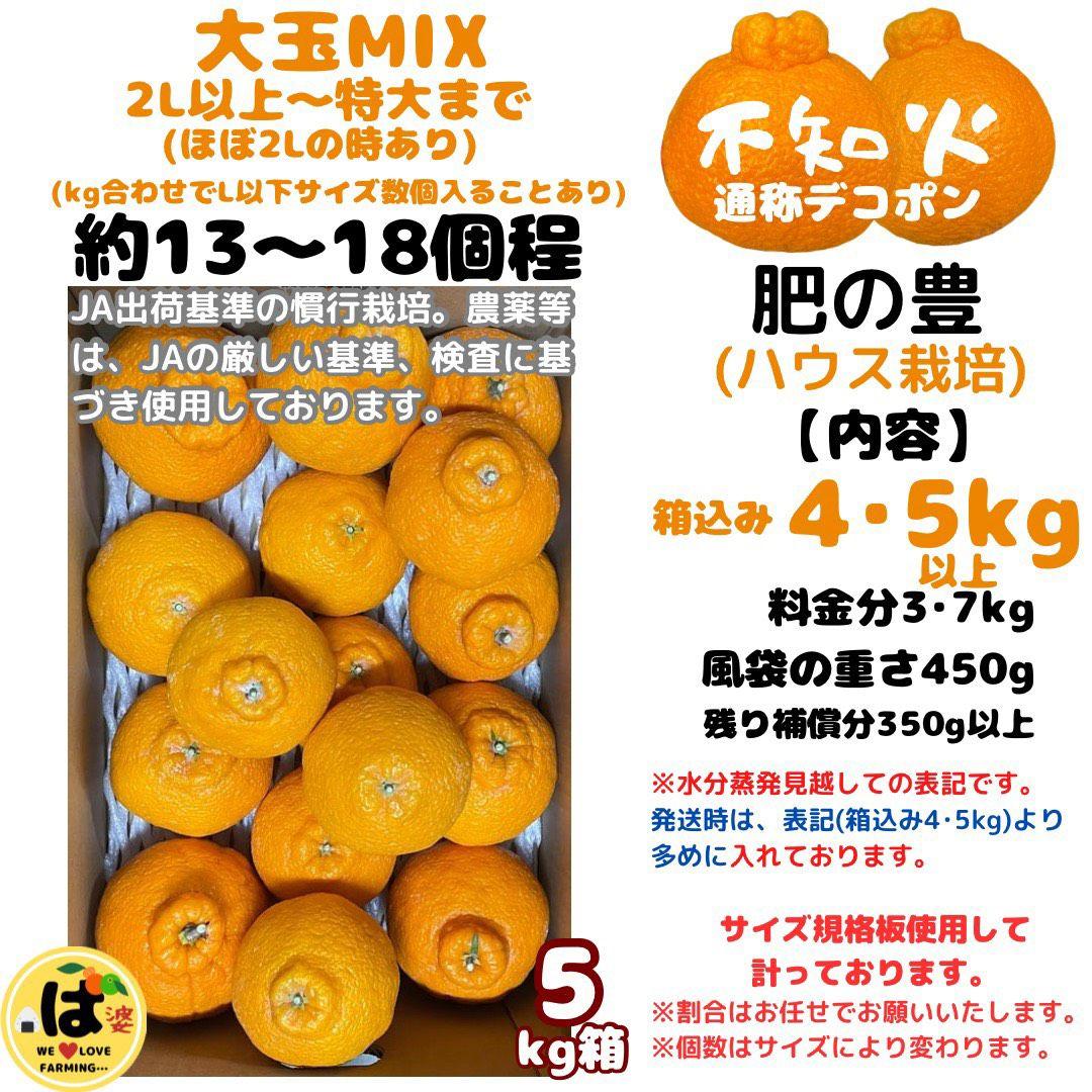 ※確認用　大玉MIX箱込み4.5kg以上【ハウス栽培　不知火　デコポン　肥の豊】
