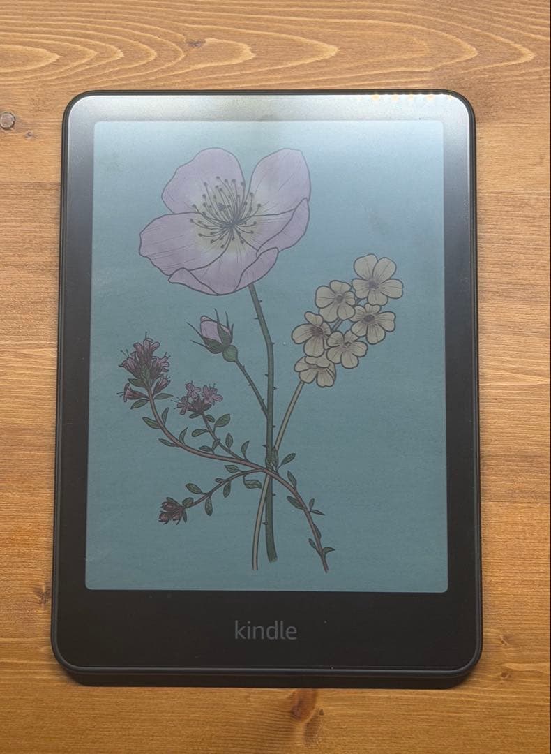 Kindle ColorSoft 32GB 延長保証加入