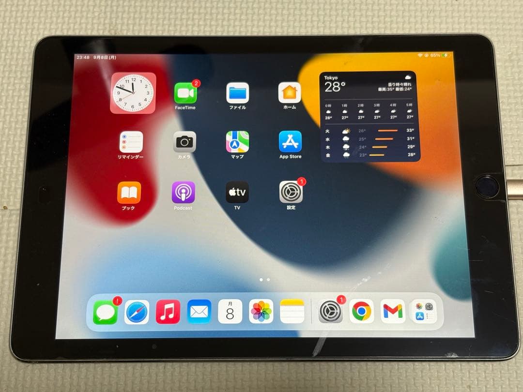 Apple iPad Air 2 10.2インチ シルバー 本体（128GB）