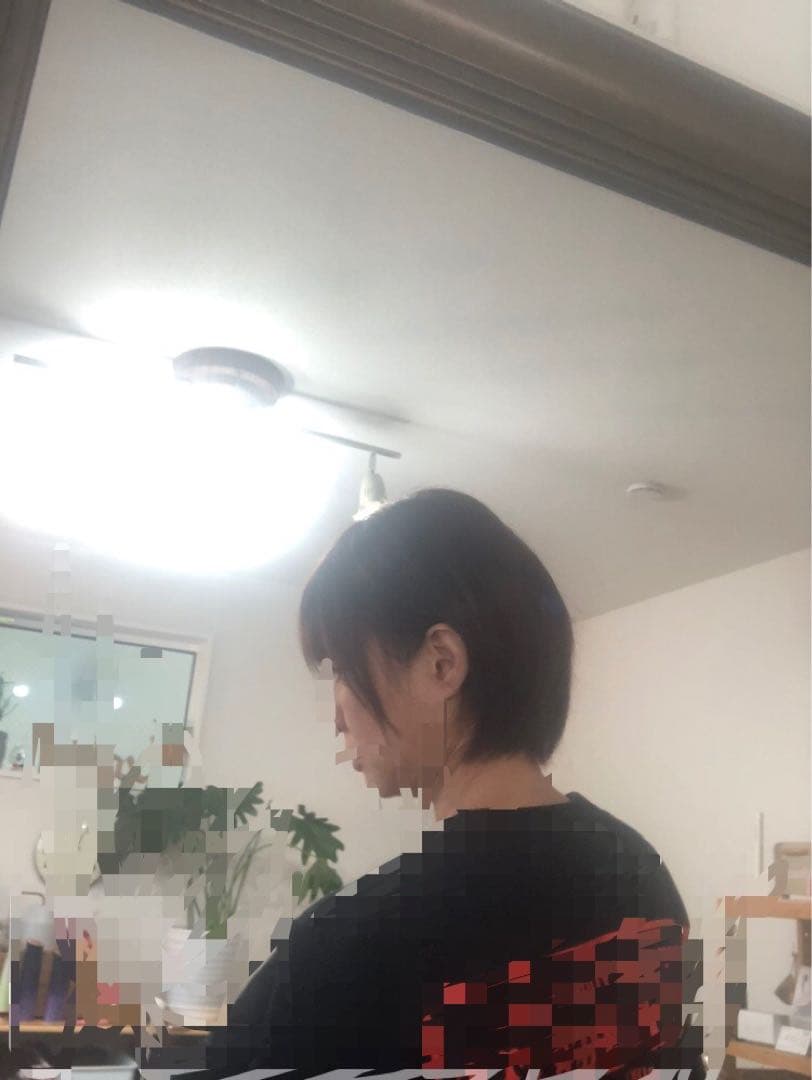 人気の　人毛ショートウィッグ ブラウン系　未使用