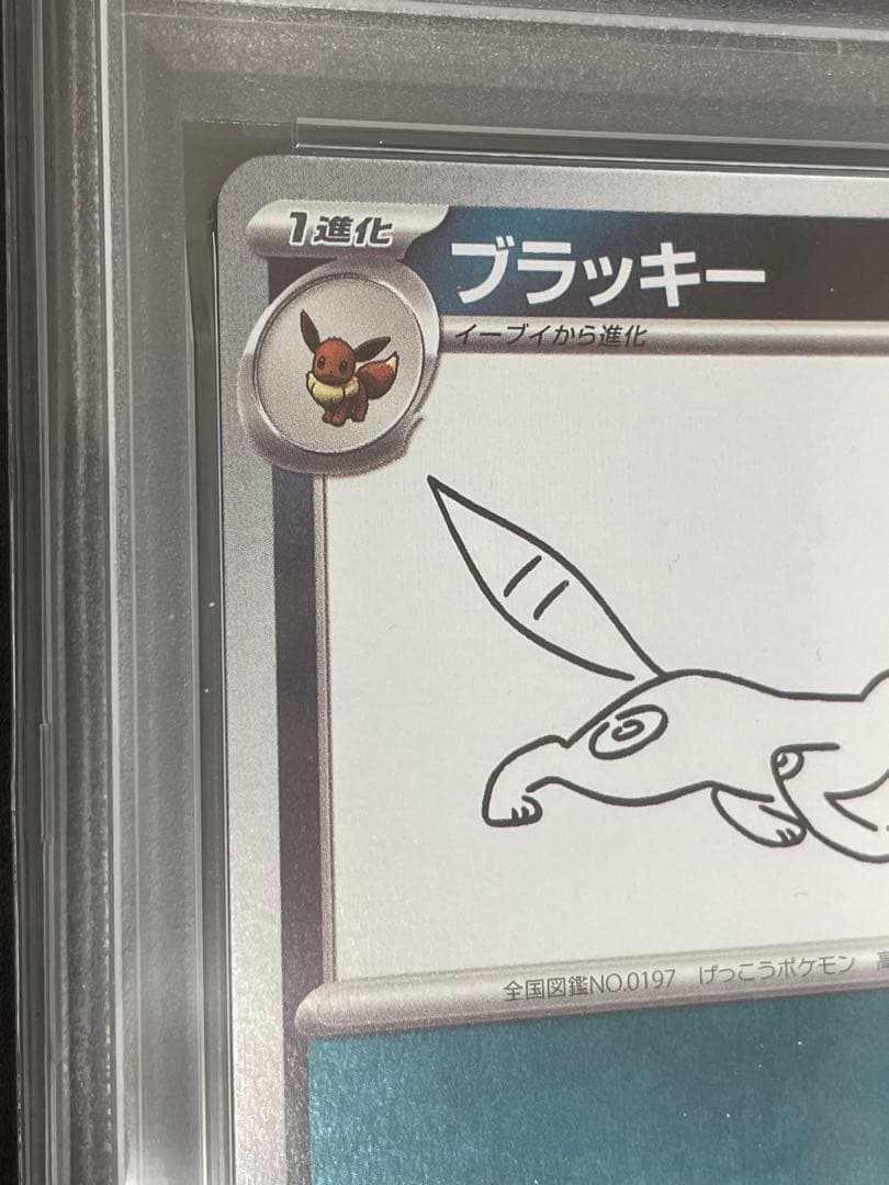 ポケモンカード　ブラッキー　長場雄　プロモ　PSA10