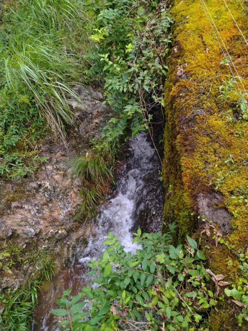 令和7年度 【湧き水栽培】農薬不使用玄米　ひのひかり 20㎏　奈良の農家直送