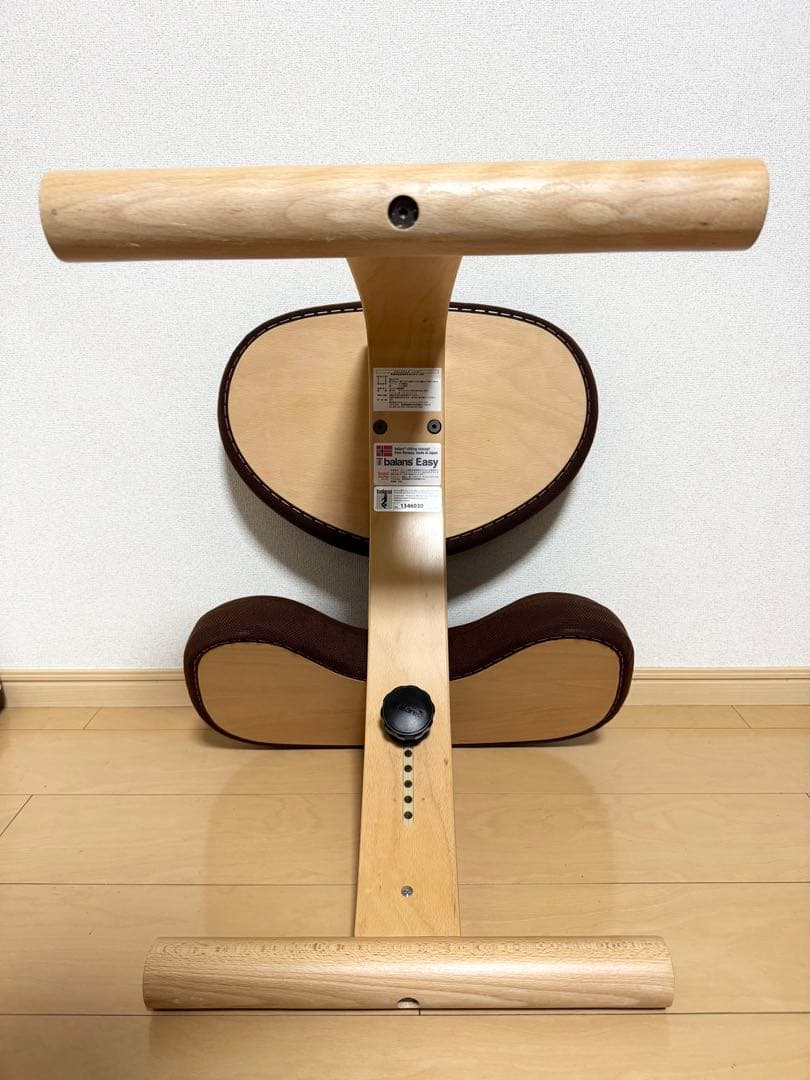 バランスイージー サカモトハウス 通常フレーム バランスチェア 腰痛対策 椅子