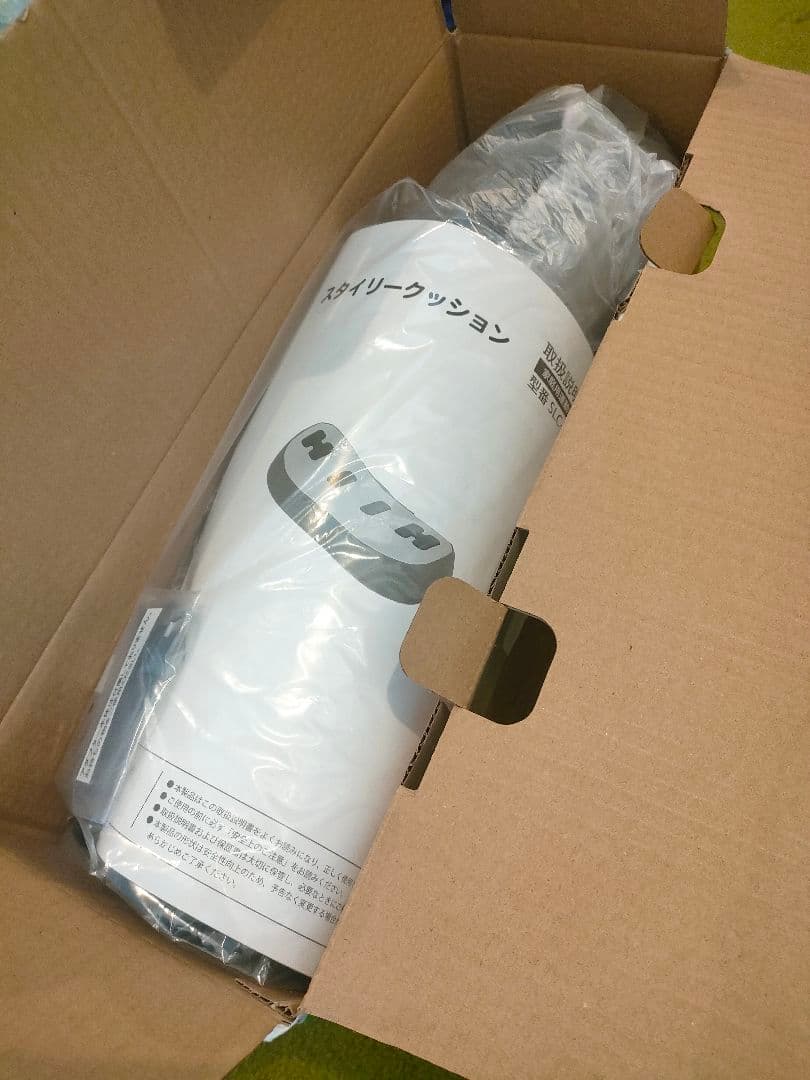 EMS フィットネスクラブがつくった スタイリークッション　ディノス