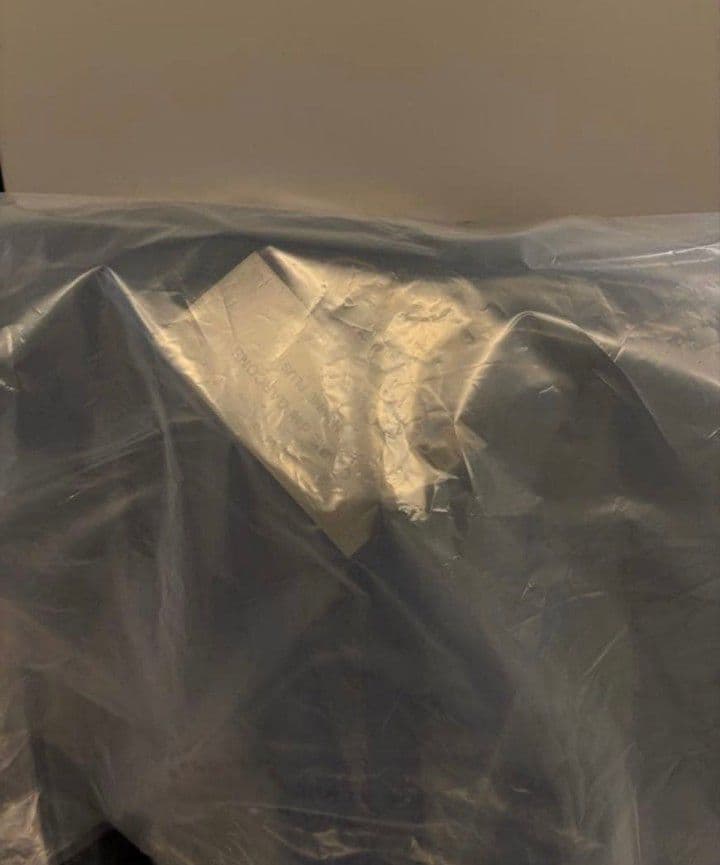 新品未使用　新型　コムデギャルソンオムプリュス バックパック リュック　Lサイズ