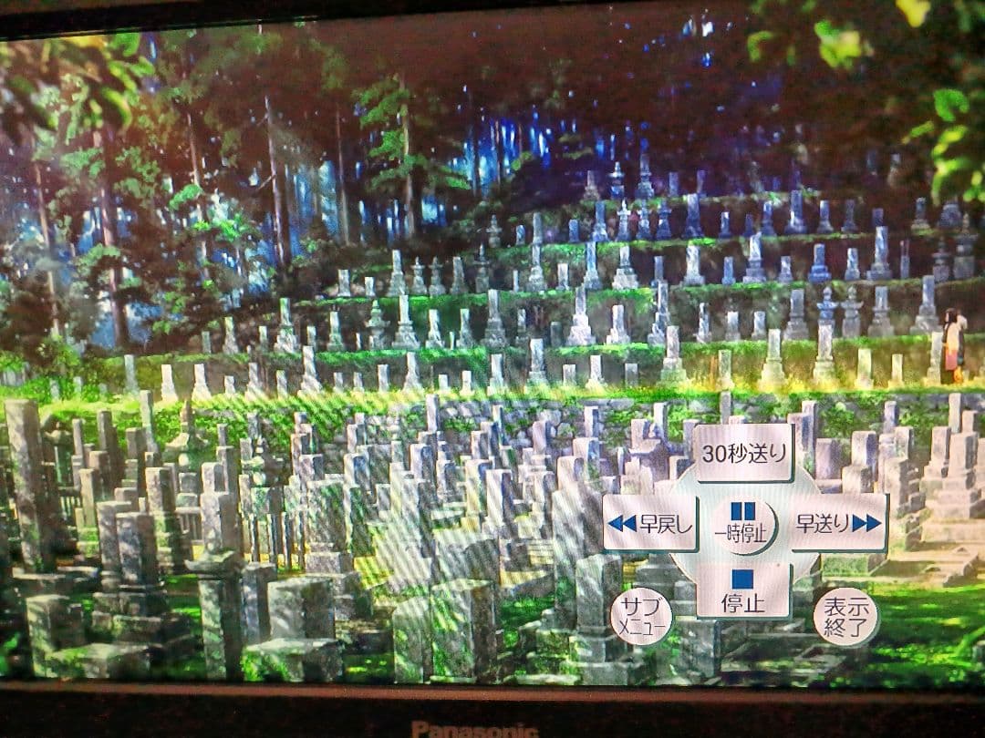 土日限定特別価格❇️DIGAブルーレイレコーダー❇️リモコン付