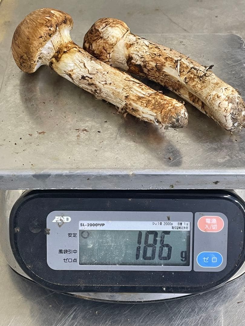 岩手県産松茸186g
