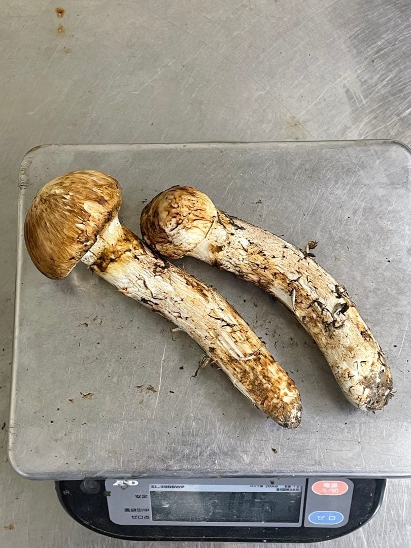 岩手県産松茸186g