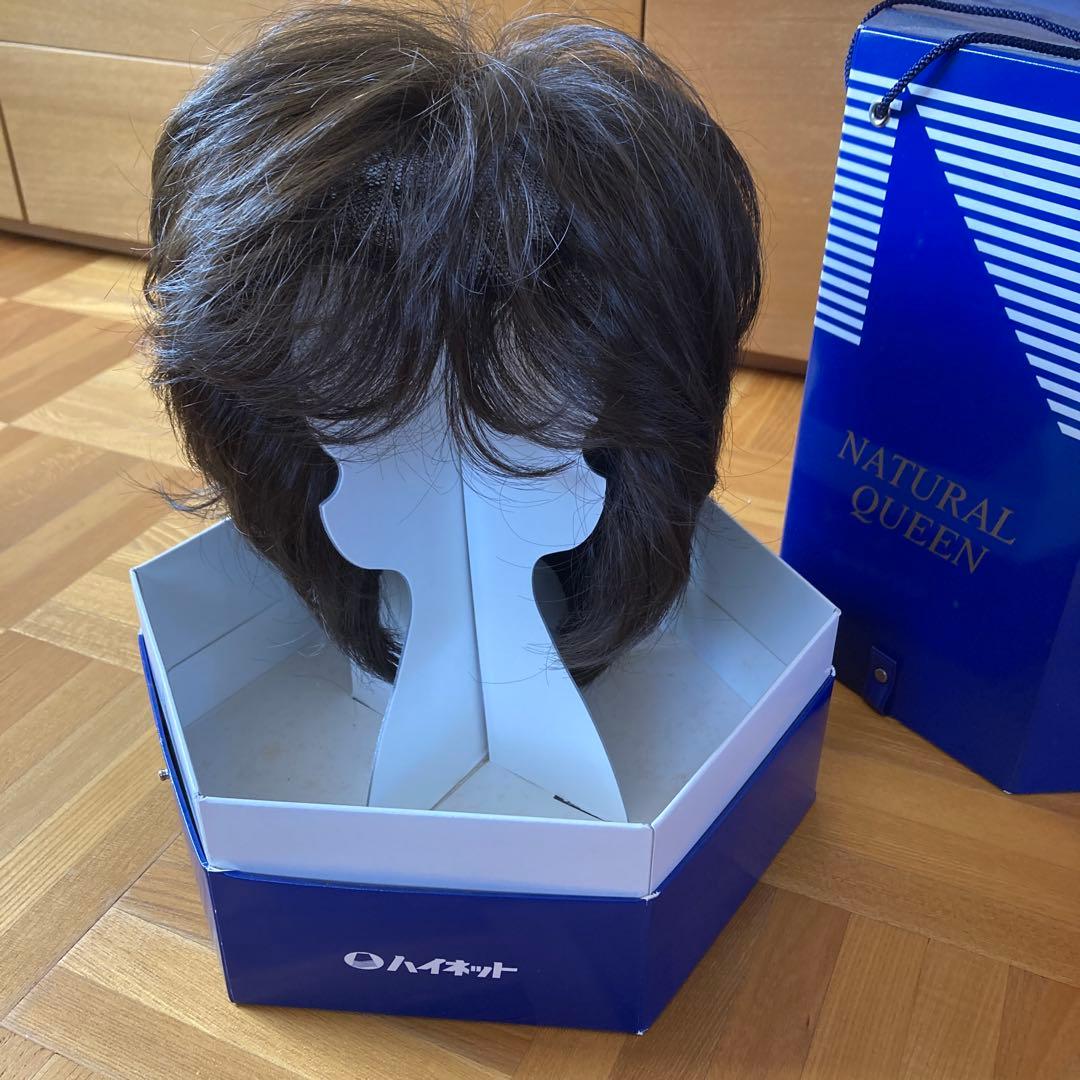 定価16万円以上　ハイネットウィッグ