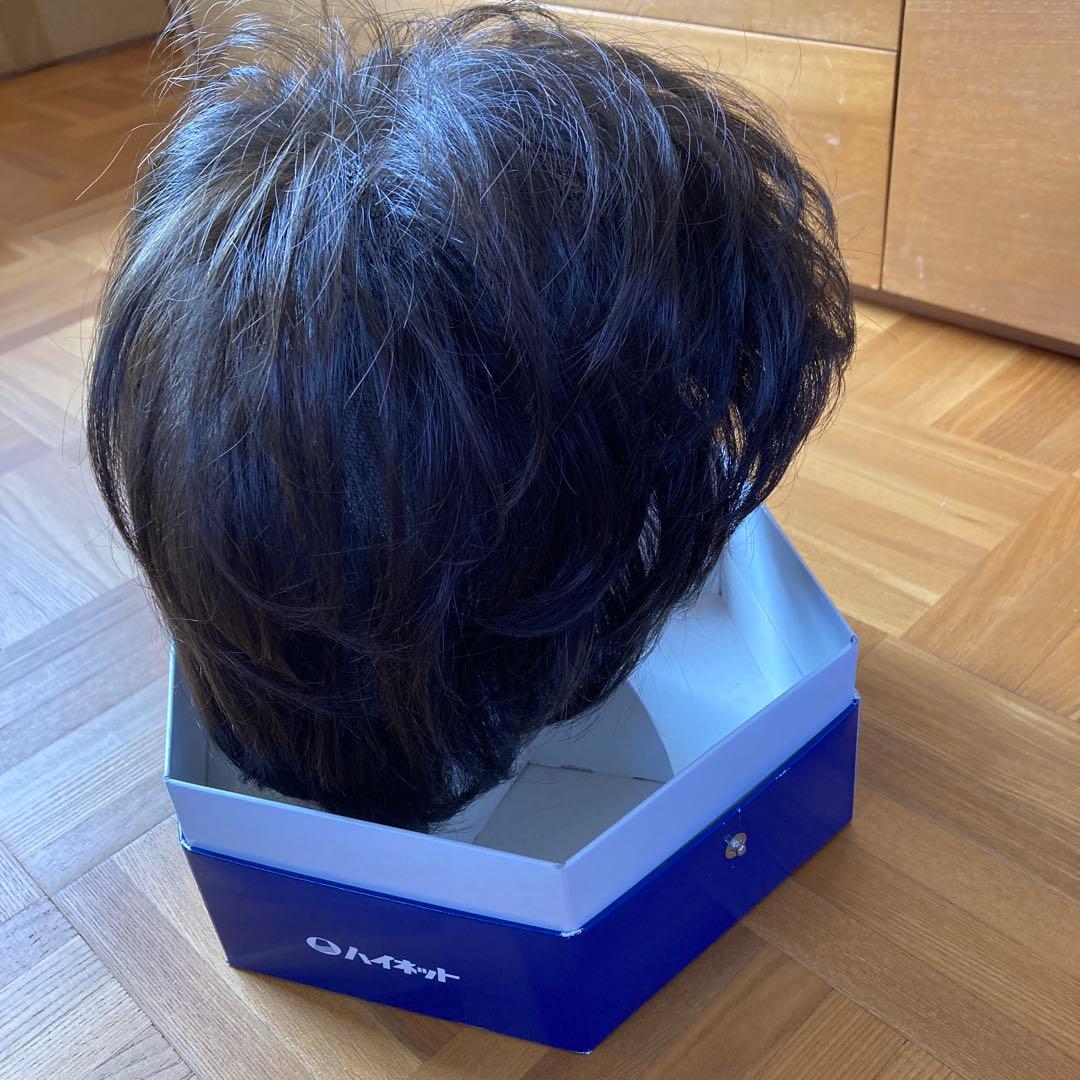 定価16万円以上　ハイネットウィッグ