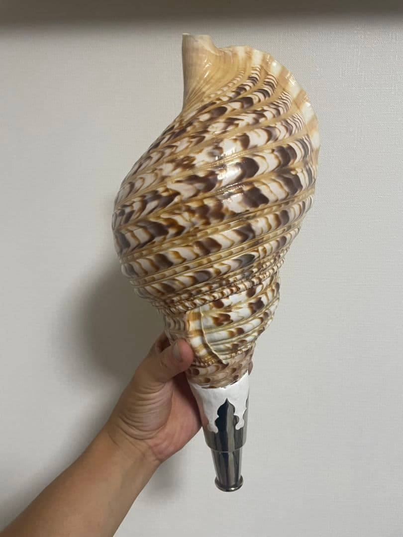 法螺貝