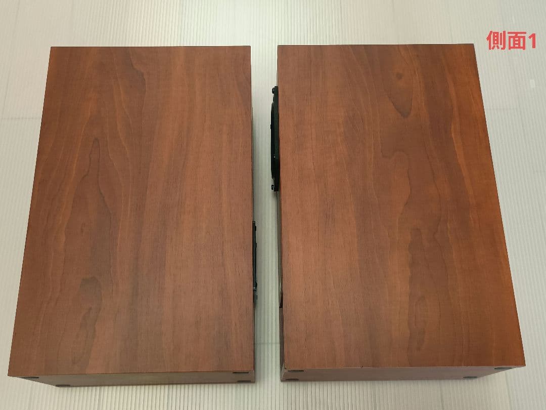 FOSTEX スピーカー P1000-BH（ペア）