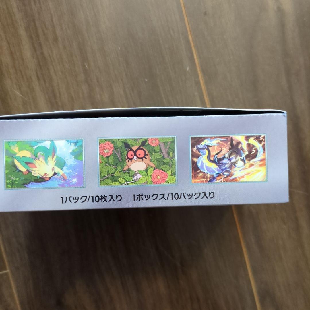 ポケモンカードゲーム テラスタルフェスEX ボックス