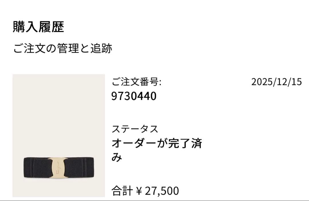 【新品・未使用品】Salvatore Ferragamo リボン　バレッタ