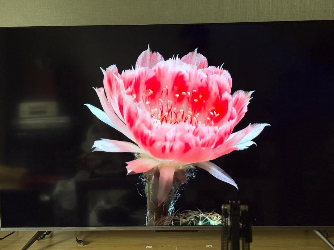 超美品 TCL 50型 4k HDR QLED 量子ドット【直接引取り可】