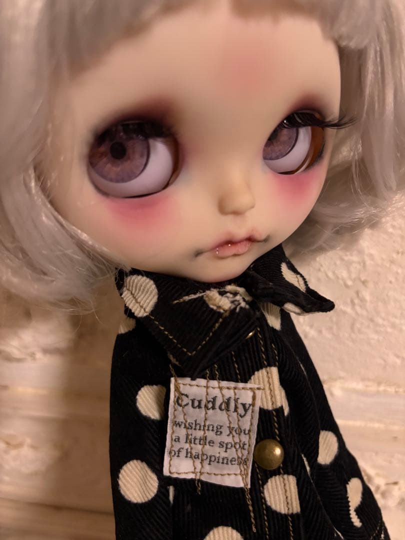 専用★クリスマス限定企画★毎日値下がり★アイシードール★ネオサイズ22cmドール