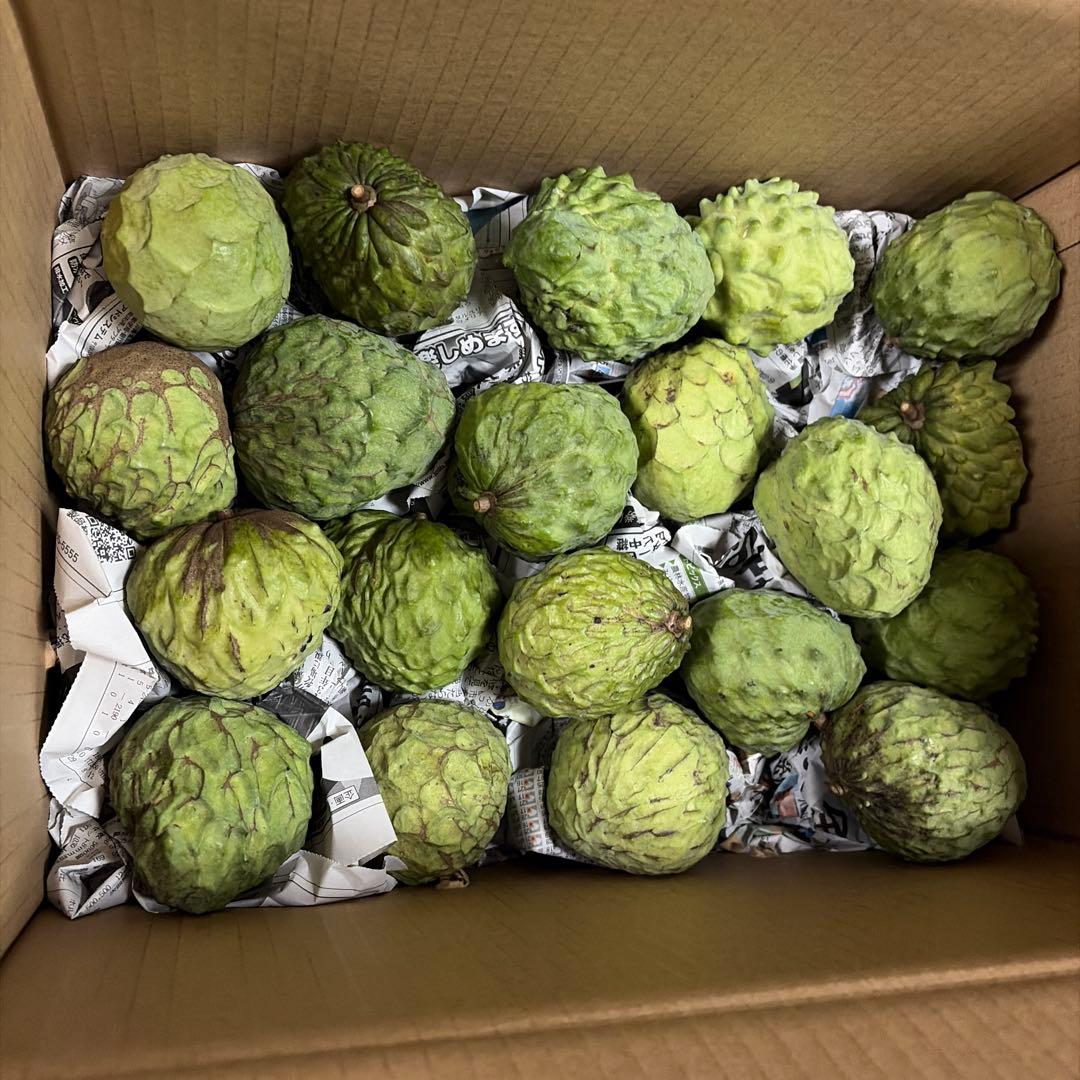 箱番号8. 訳あり規格外サイズです！１kgあたり1100円 9.5kg